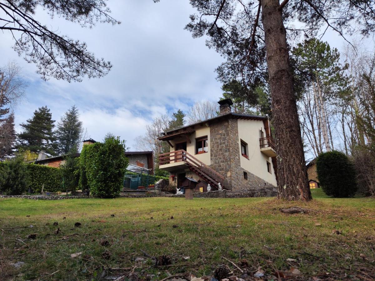 Can Nitu Кампродон Экстерьер фото