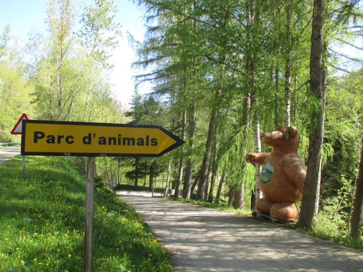 Can Nitu Кампродон Экстерьер фото