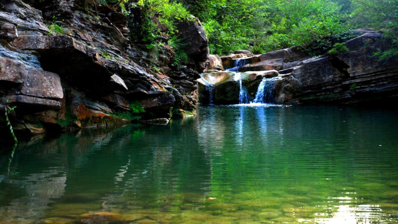 Can Nitu Кампродон Экстерьер фото